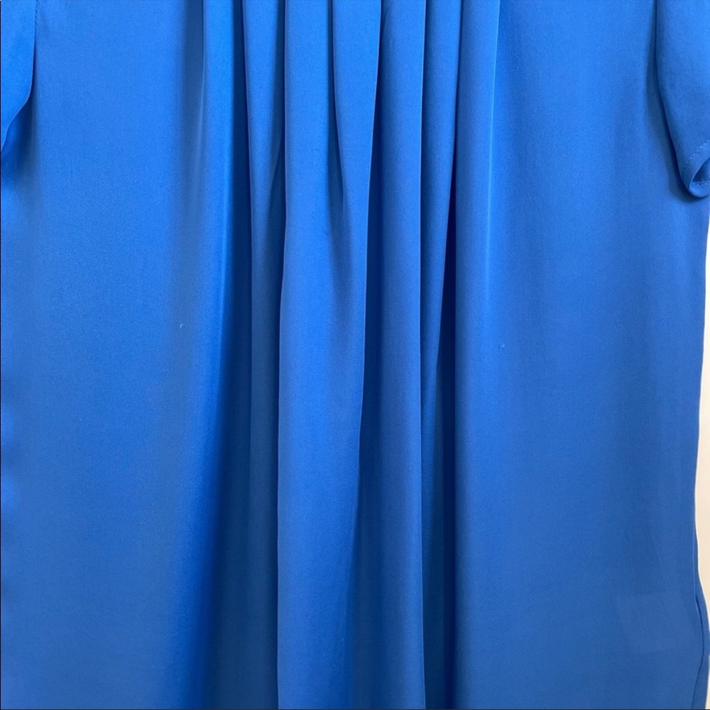 💯% Silk NWOT Joie Blouse - Picture 3 of 4
